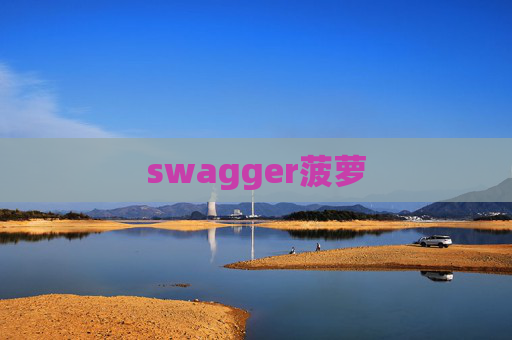 swagger菠萝 swagger菠萝